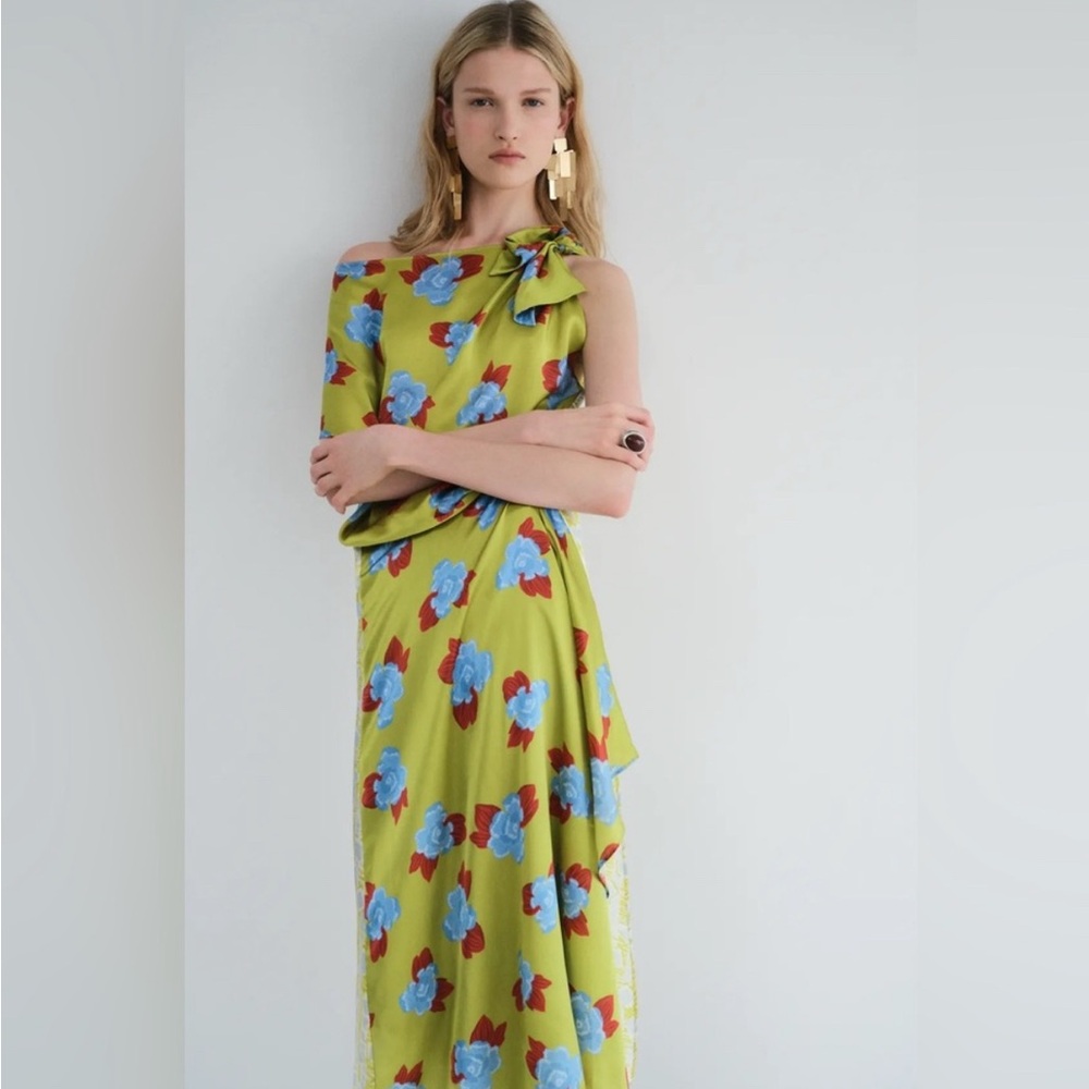 NWT Zara Midi Printed 100% Printed Silk Dress Limited Edition 8731/727